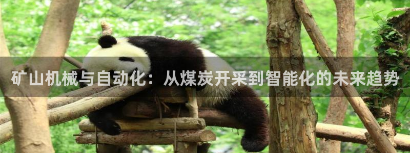 云顶国际投资有限公司
