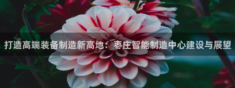 云顶国际官方网页
