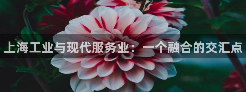 云顶集团老总个人资料