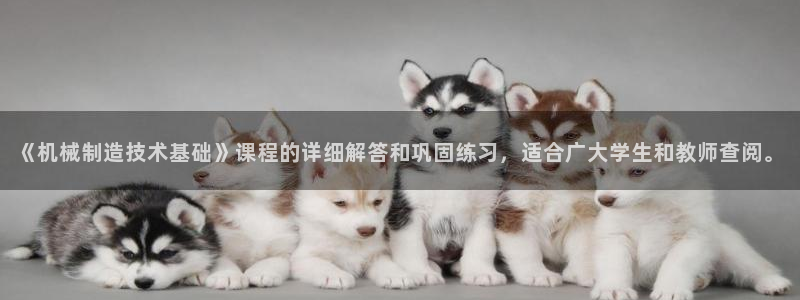 云顶国际软件