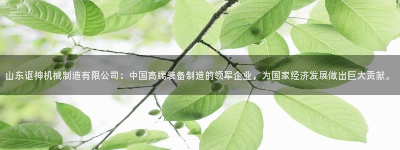 云顶国际测试服怎么进