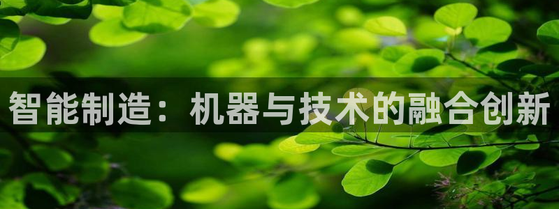 云顶国际教育