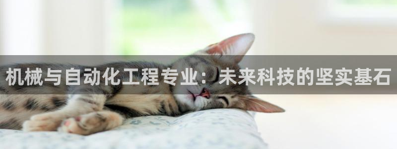 云顶国际婚礼大酒店位于哪里