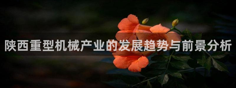 云顶国际集团