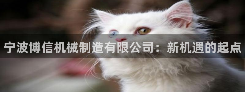 云顶国际教育