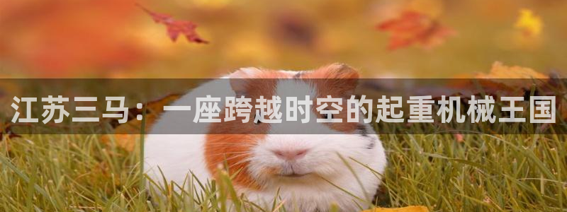 云顶国际北大街