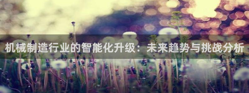 云顶国际晟荣协会