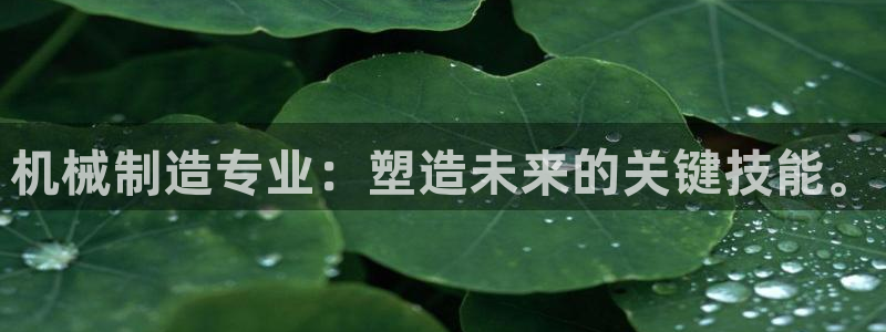 云顶国际版最新版苹果版