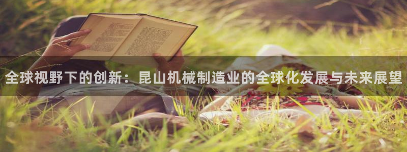 云顶国际是做什么的公司