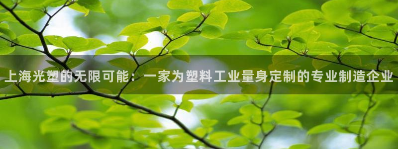 云顶集团招聘