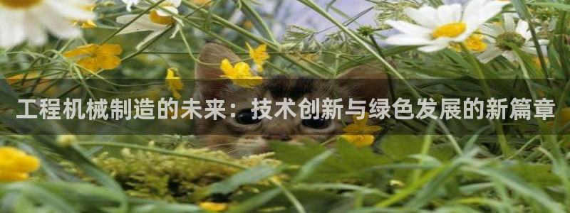 云顶集团网投领