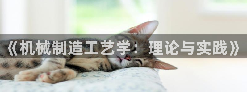 云顶国际钱取不出来