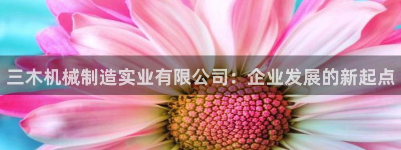 云顶集团网站多少